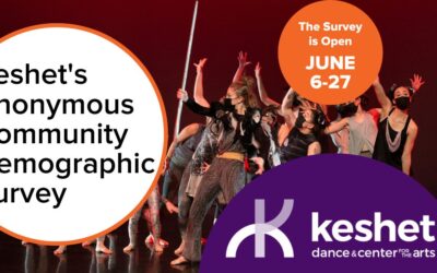 Keshet’s Anonymous Community Demographic Survey